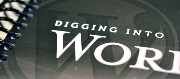 About the book